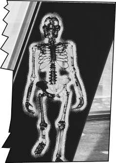 serviços de marketing digital, Playnext