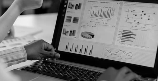 serviços de marketing digital, Playnext